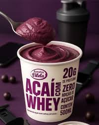 ACAI COM WHEY VILELA 500ML