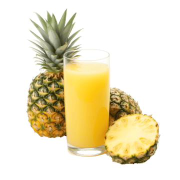 Polpa de Abacaxi FIT&FRESH 100G