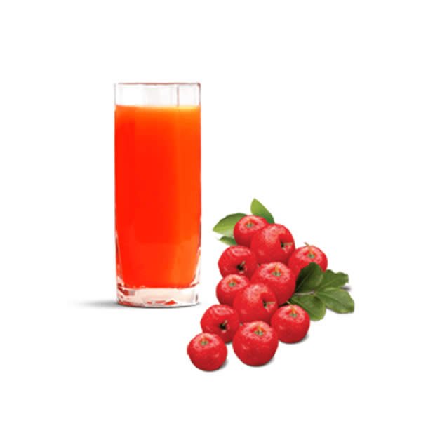 Polpa de Acerola FIT&FRESH 100G