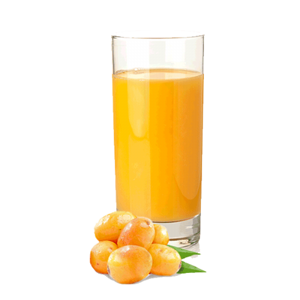 Polpa de Cajá FIT&FRESH 100G