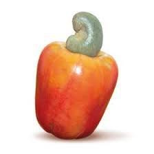CAJU