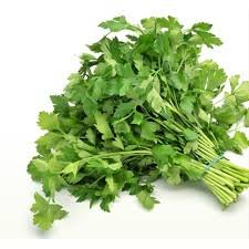 CHEIRO VERDE