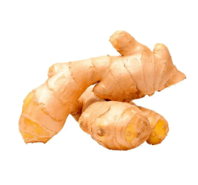 GENGIBRE