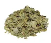 MADALO CHA DE BOLDO DO CHILE 50G